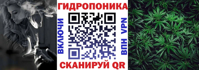 Марихуана сатива  где можно купить наркотик  Райчихинск 
